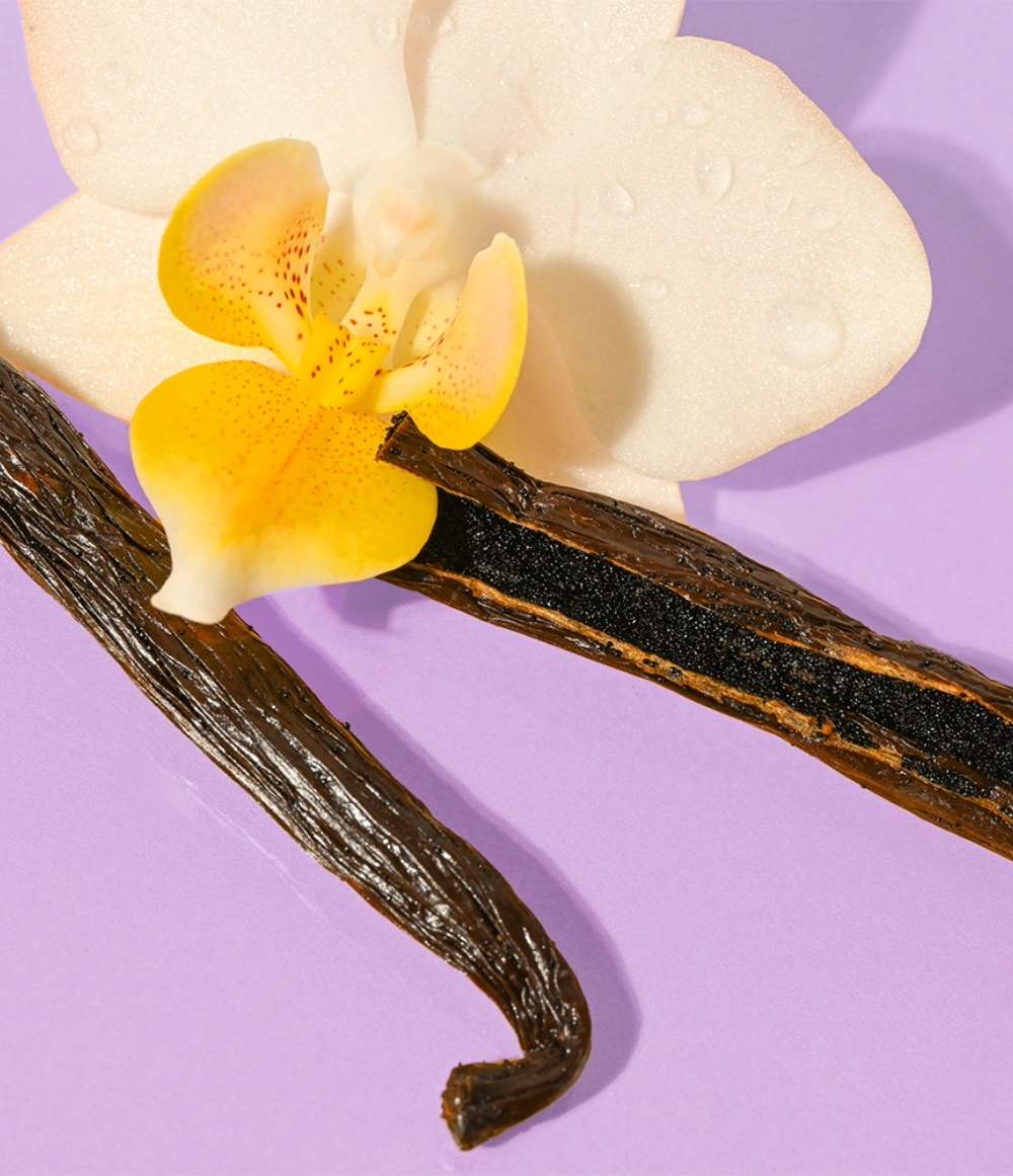 Vanilla Bean Lip Balm