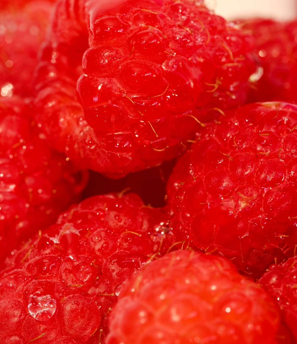 Razzle Dazzle 4-Pack Lip Balm